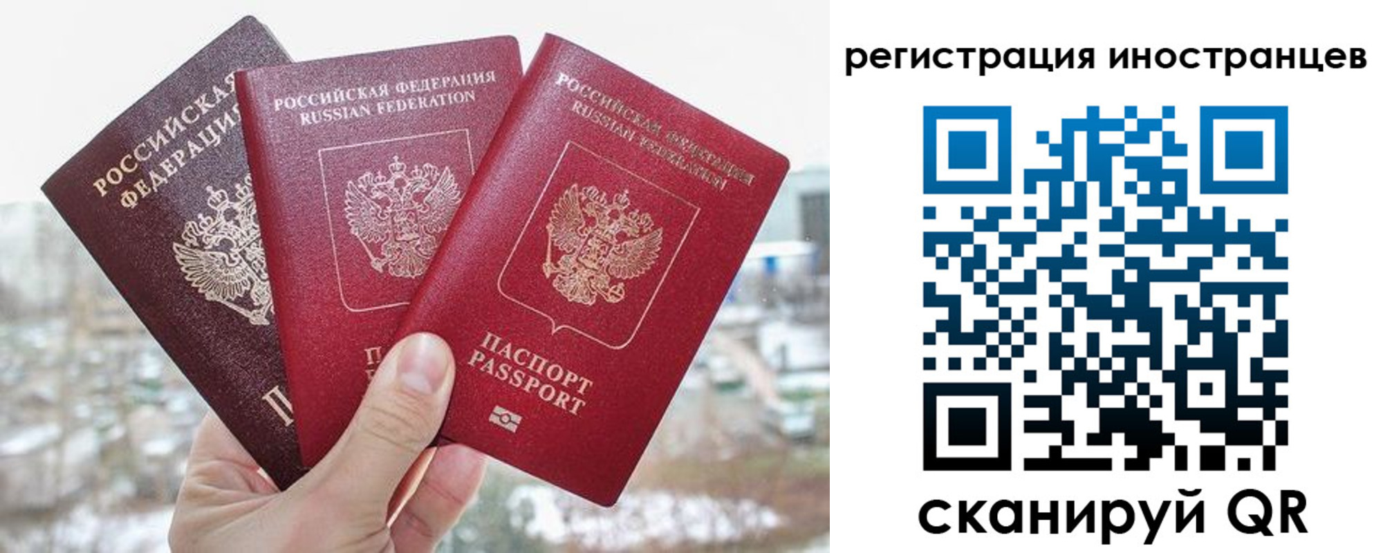 прописка ребенка в Калининграде